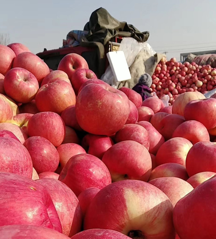 小本生意背后的大梦想福田祥菱见证这个 北漂 的创富幸福路 卡车e族 选车用车买车 就上卡车e族